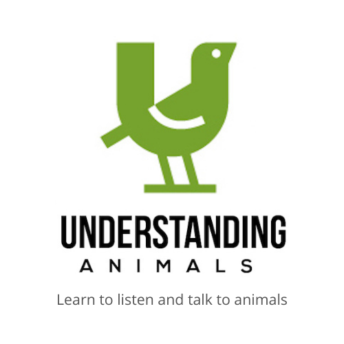 Understanding Animals